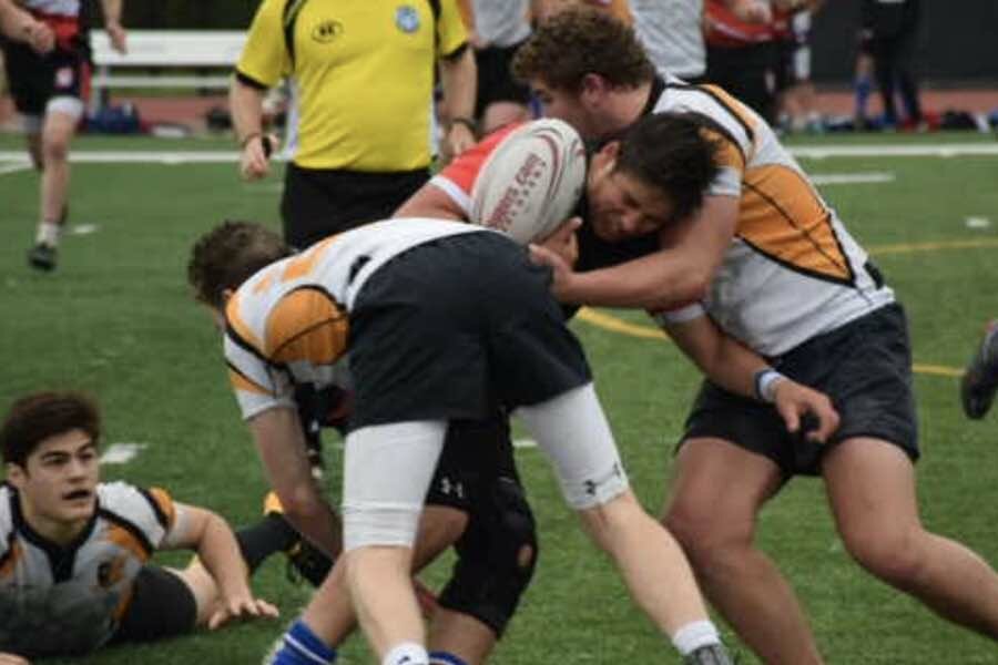 aspetuck valley rugby